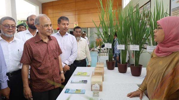 কৃষির উন্নতি নিয়ে সরকার কাজ করছে : কৃষি উপদেষ্টা