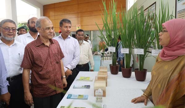 কৃষির উন্নতি নিয়ে সরকার কাজ করছে : কৃষি উপদেষ্টা